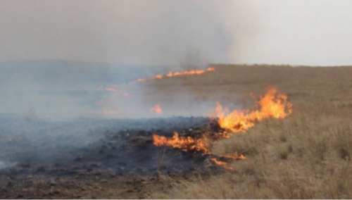 Зүүн дөрвөн аймгийн түймрийг бүрэн унтраажээ